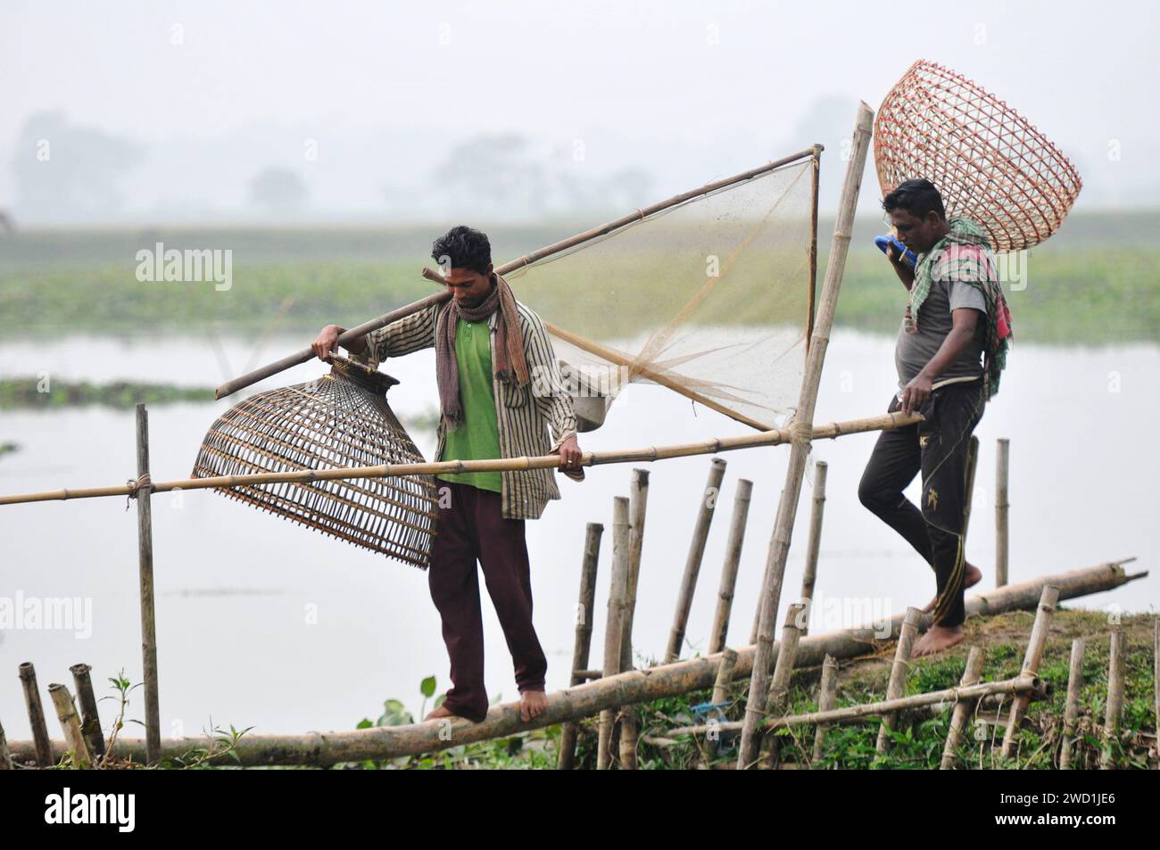 Le popolazioni rurali armate di trappole per pesci di bambù e reti da pesca artigianali prendono parte a una festa invernale di pesca bawa, che dura 100 anni, presso il Gowahori beel of Biswanath upazila a Sylhet. La gente del posto ha detto che il festival viene celebrato ogni anno nel primo giorno del mese di Bangla di Poush e, a parte la gente del posto, persone provenienti da diverse parti dell'Upozila si radunano al beel con diversi tipi di trappole da pesca per partecipare. Sylhet, Bangladesh. Foto Stock