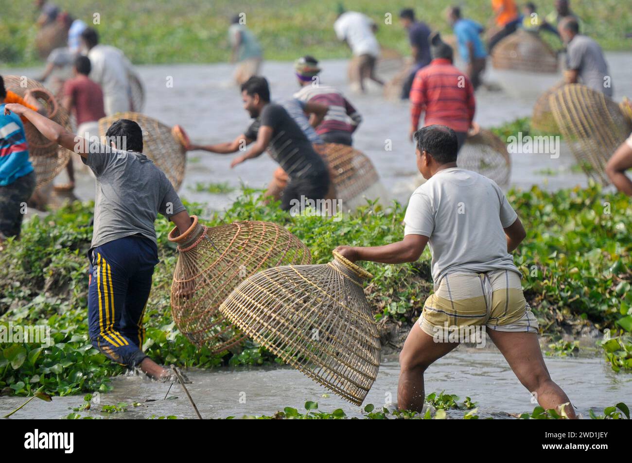 Le popolazioni rurali armate di trappole per pesci di bambù e reti da pesca artigianali prendono parte a una festa invernale di pesca bawa, che dura 100 anni, presso il Gowahori beel of Biswanath upazila a Sylhet. La gente del posto ha detto che il festival viene celebrato ogni anno nel primo giorno del mese di Bangla di Poush e, a parte la gente del posto, persone provenienti da diverse parti dell'Upozila si radunano al beel con diversi tipi di trappole da pesca per partecipare. Sylhet, Bangladesh. Foto Stock