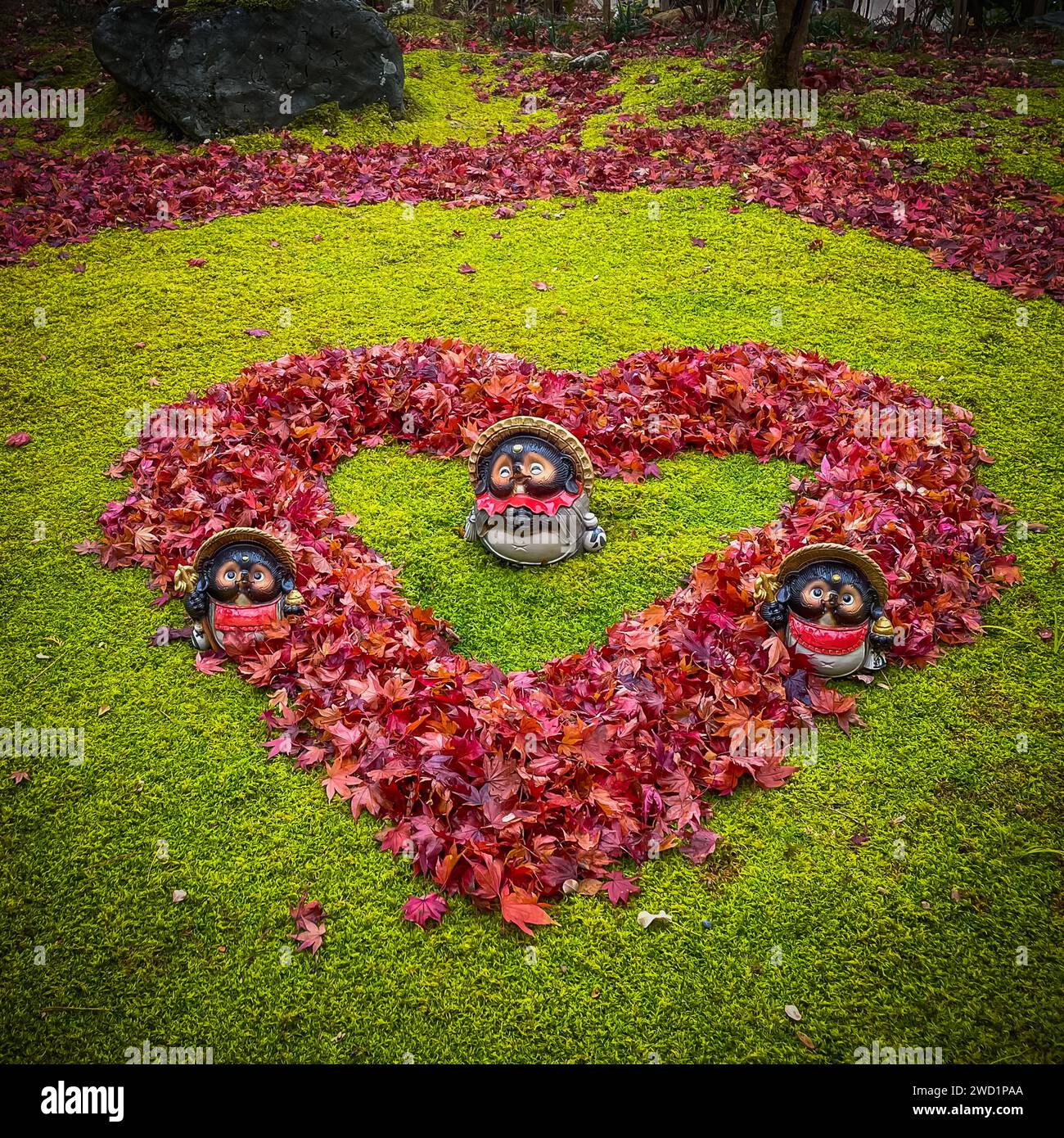 Il fogliame autunnale con foglia d'acero colorata. Kyoto è uno dei luoghi più visitati per ammirare e godere del profondo fogliame dei colori autunnali. Foto Stock