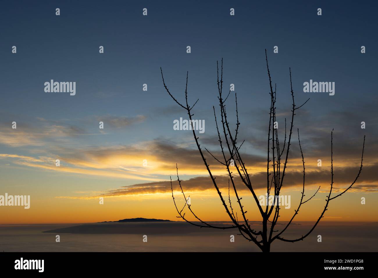 tramonto con l'isola di la gomera sullo sfondo e un albero contro la luce Foto Stock