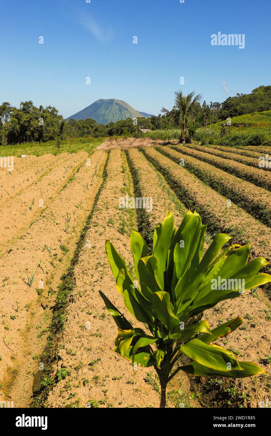 Fertili campi di terreno vulcanico vicino al Monte Mahawu e alla città di Tomohon con il Monte Lokon, uno stratovulcano attivo oltre. Tomohon, Sulawesi settentrionale, Indonesia Foto Stock