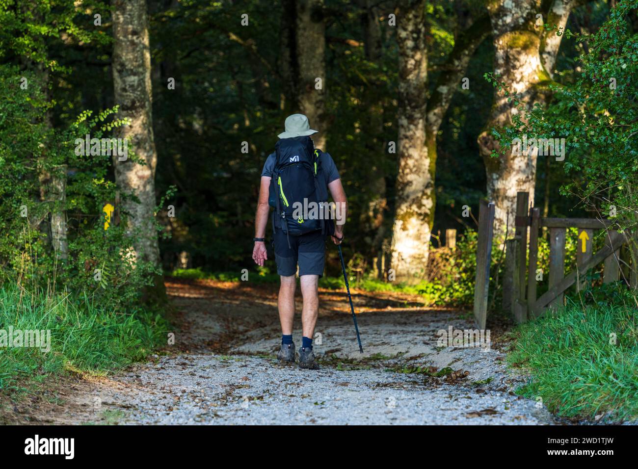 Pellegrini che camminano lungo il sentiero, alto de Mezkiritz (922 m), Auritzberri, la strada di Santiago, Navarra, Spagna Foto Stock