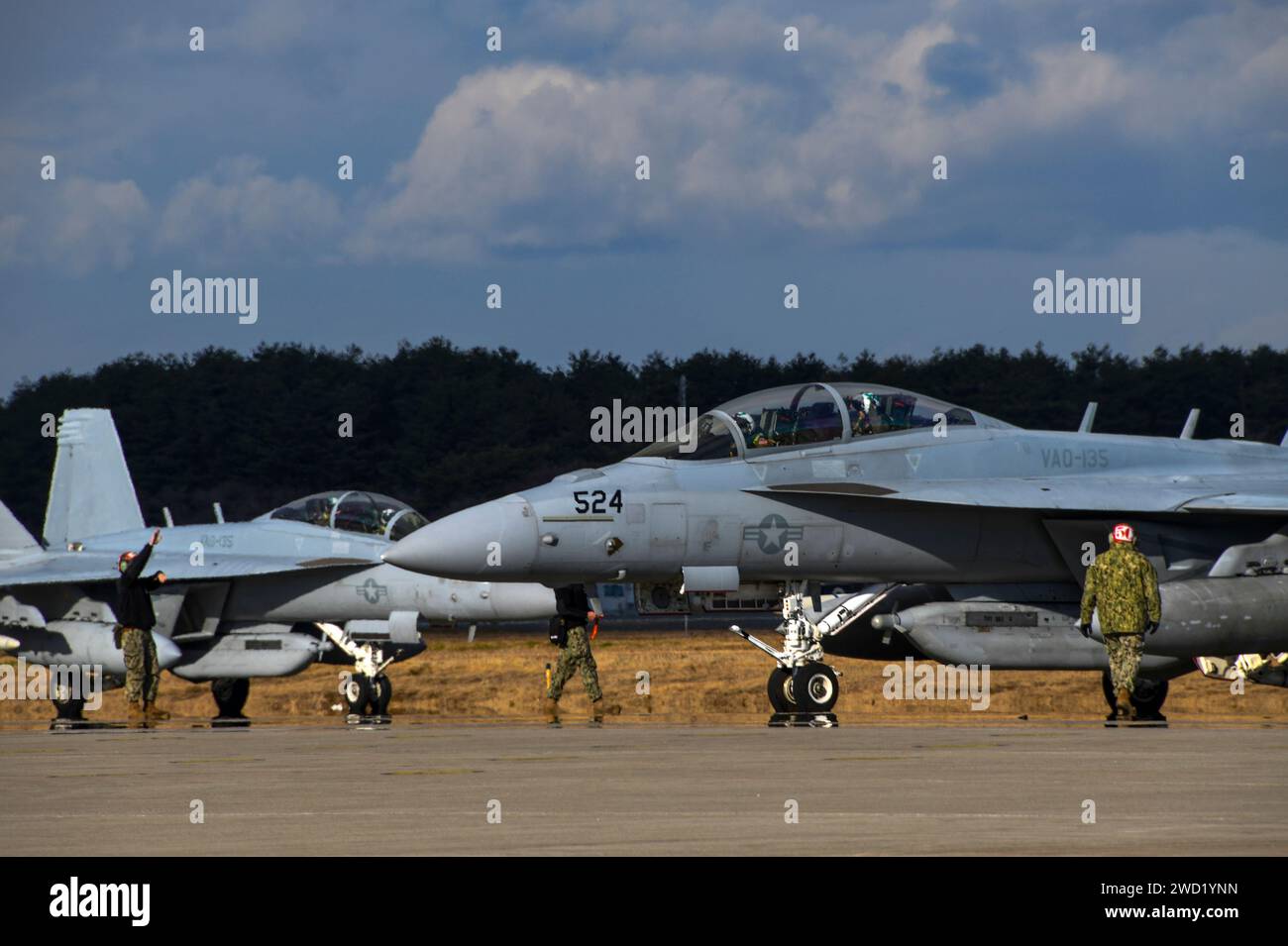 EA-18G Growlers taxi fuori dalla linea di volo presso la base aerea di Misawa, Giappone. Foto Stock