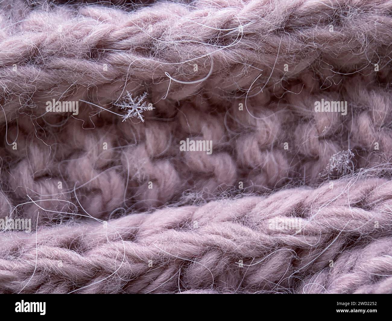 fiocco di neve su base di lana macro Foto Stock