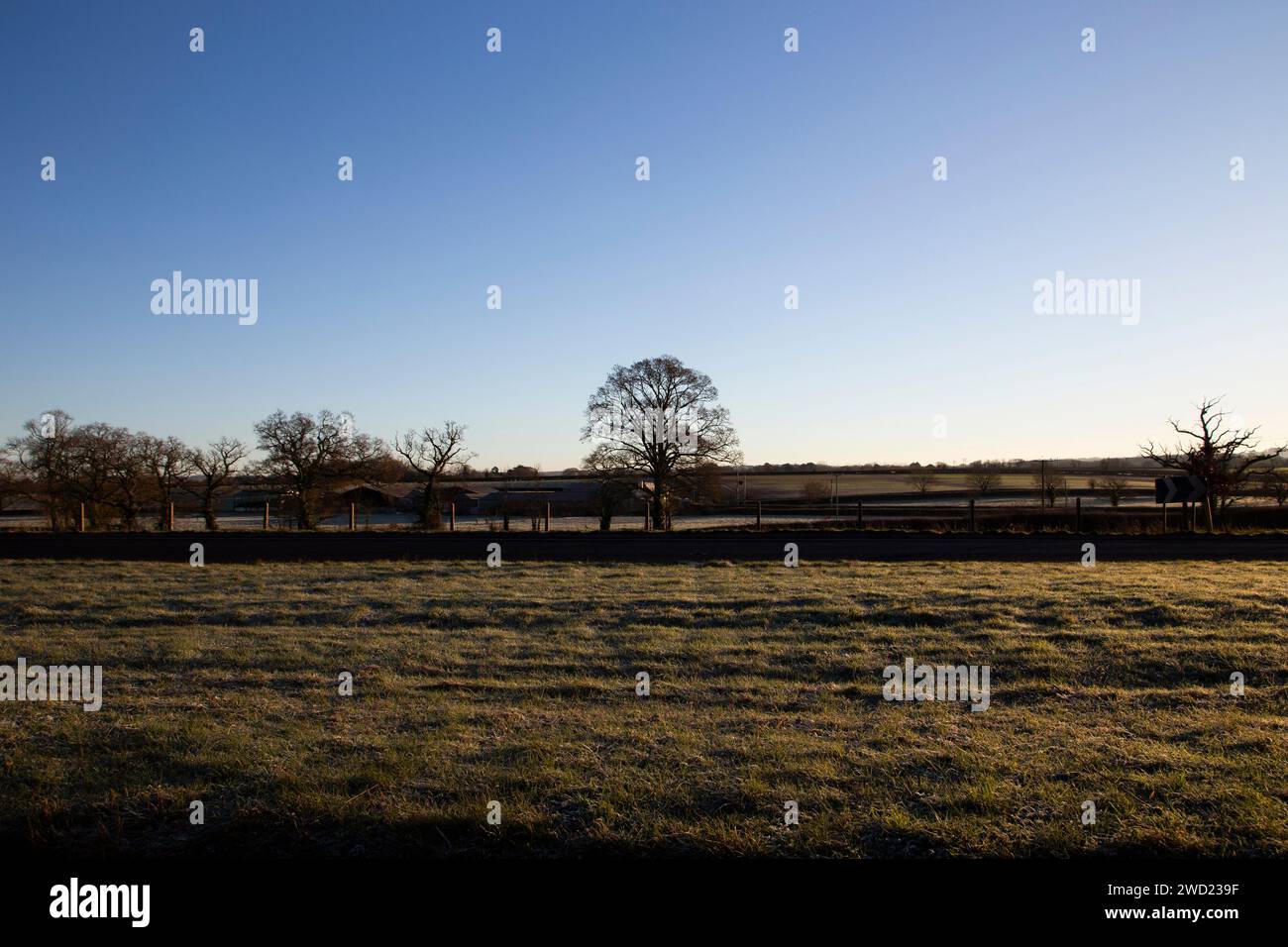Alba di prima mattina nel villaggio rurale di Clyst St George Devon, Regno Unito, che cura le basse temperature con cavalli, stalle e campi. Foto Stock