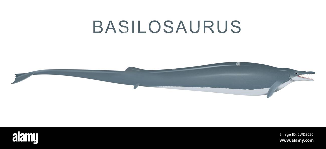 Il Basilosaurus è una balena preistorica Foto Stock