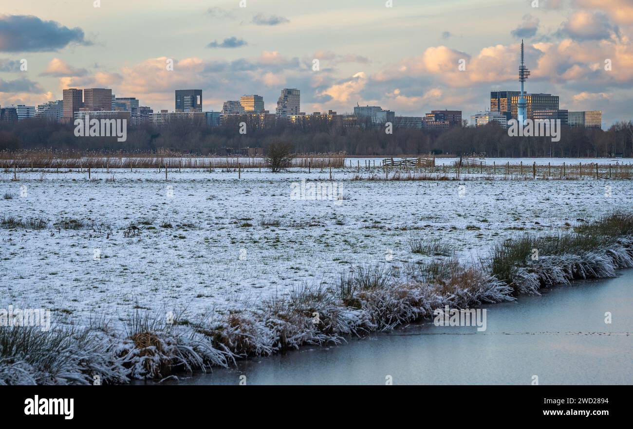 Skyline di Amsterdam Zuidas in inverno visto dal campo agricolo Foto Stock
