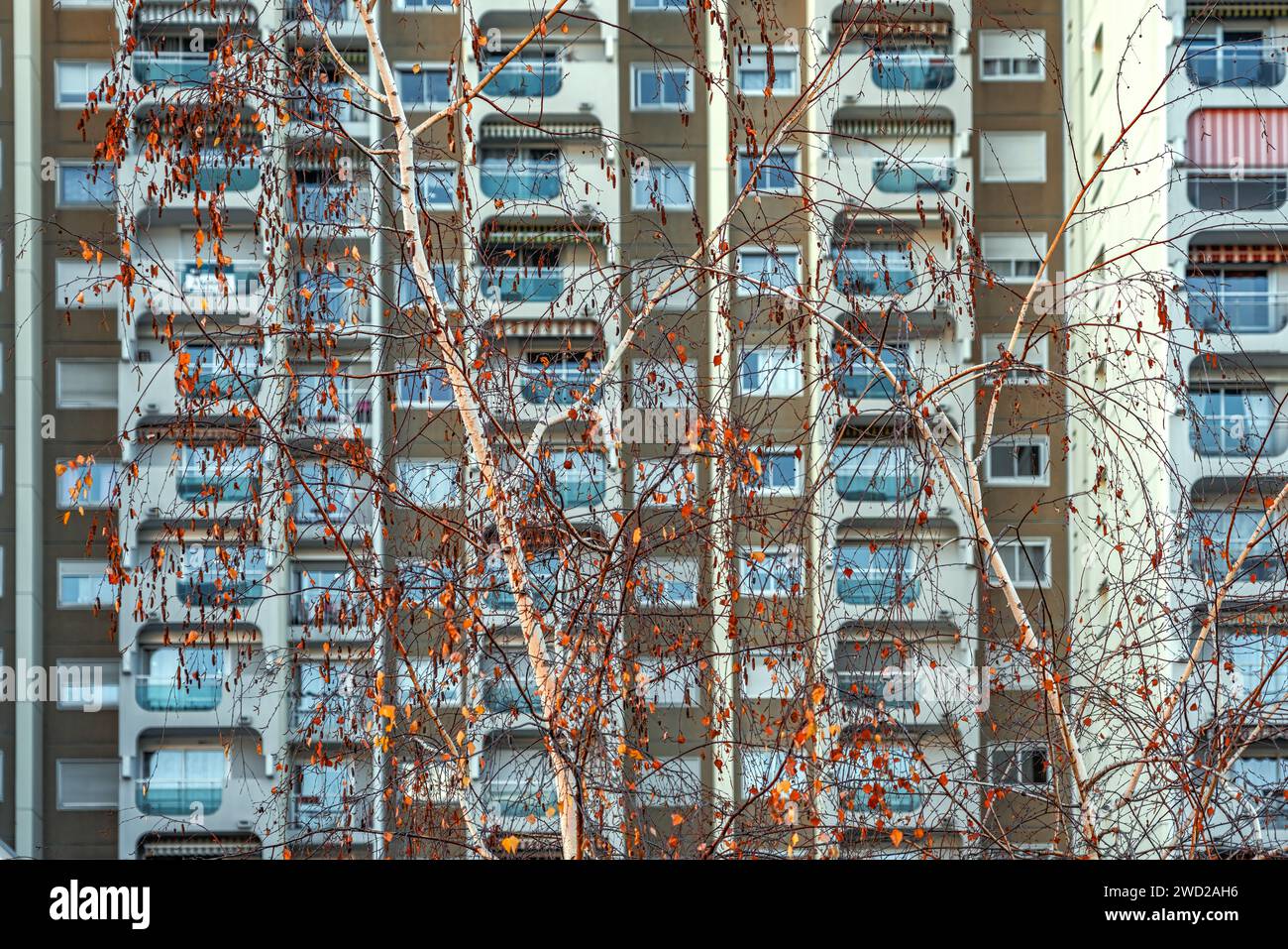 Nella città di design di Saint-Étienne, anche gli alti edifici residenziali con balconi hanno un aspetto raffinato. Saint-Étienne, Auvergne-Rhône-Alpe Foto Stock