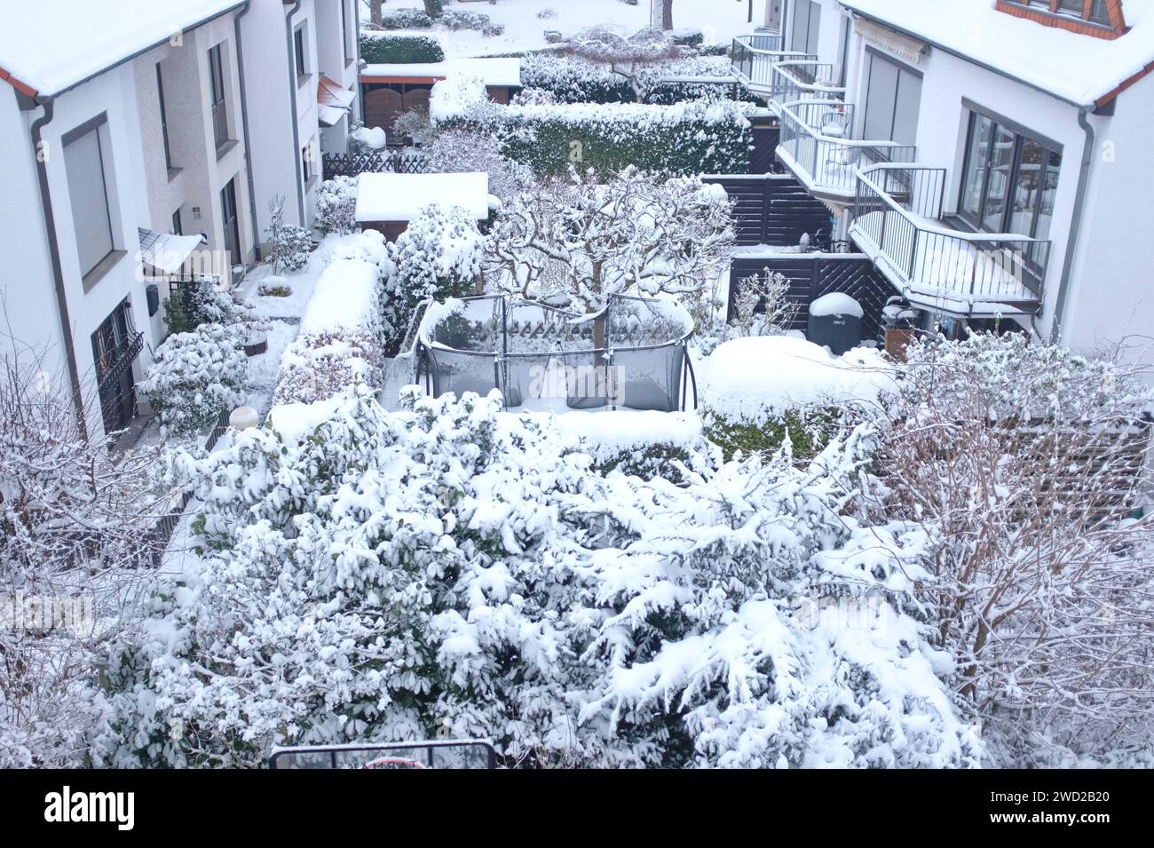 Schnee in NRW: Blick aus dem Fenster in verschneite Vorgärten *** neve in NRW Vista dalla finestra sui giardini frontali innevati Foto Stock