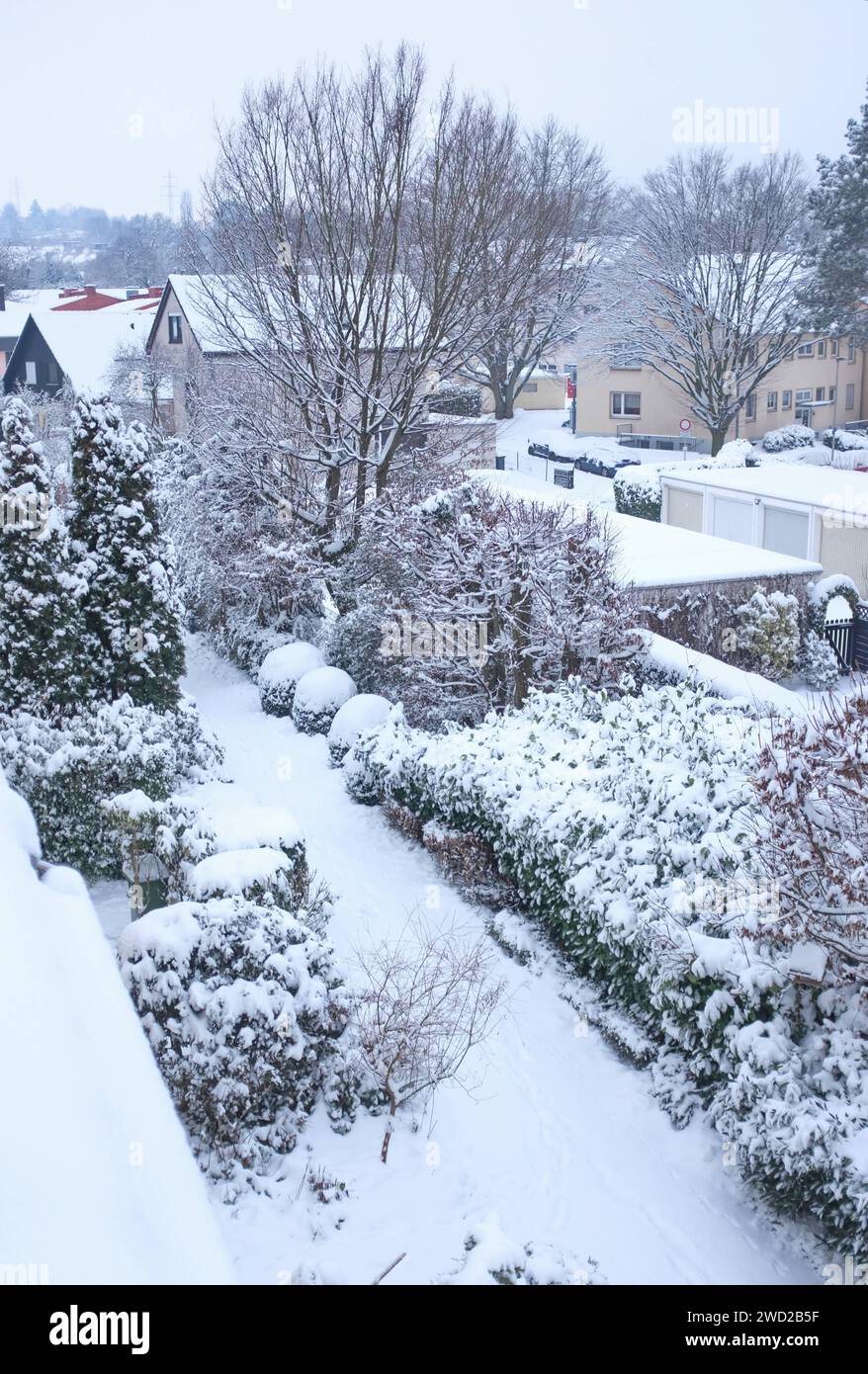 Schnee in NRW: Blick aus dem Fenster in verschneite Vorgärten *** neve in NRW Vista dalla finestra sui giardini frontali innevati Foto Stock