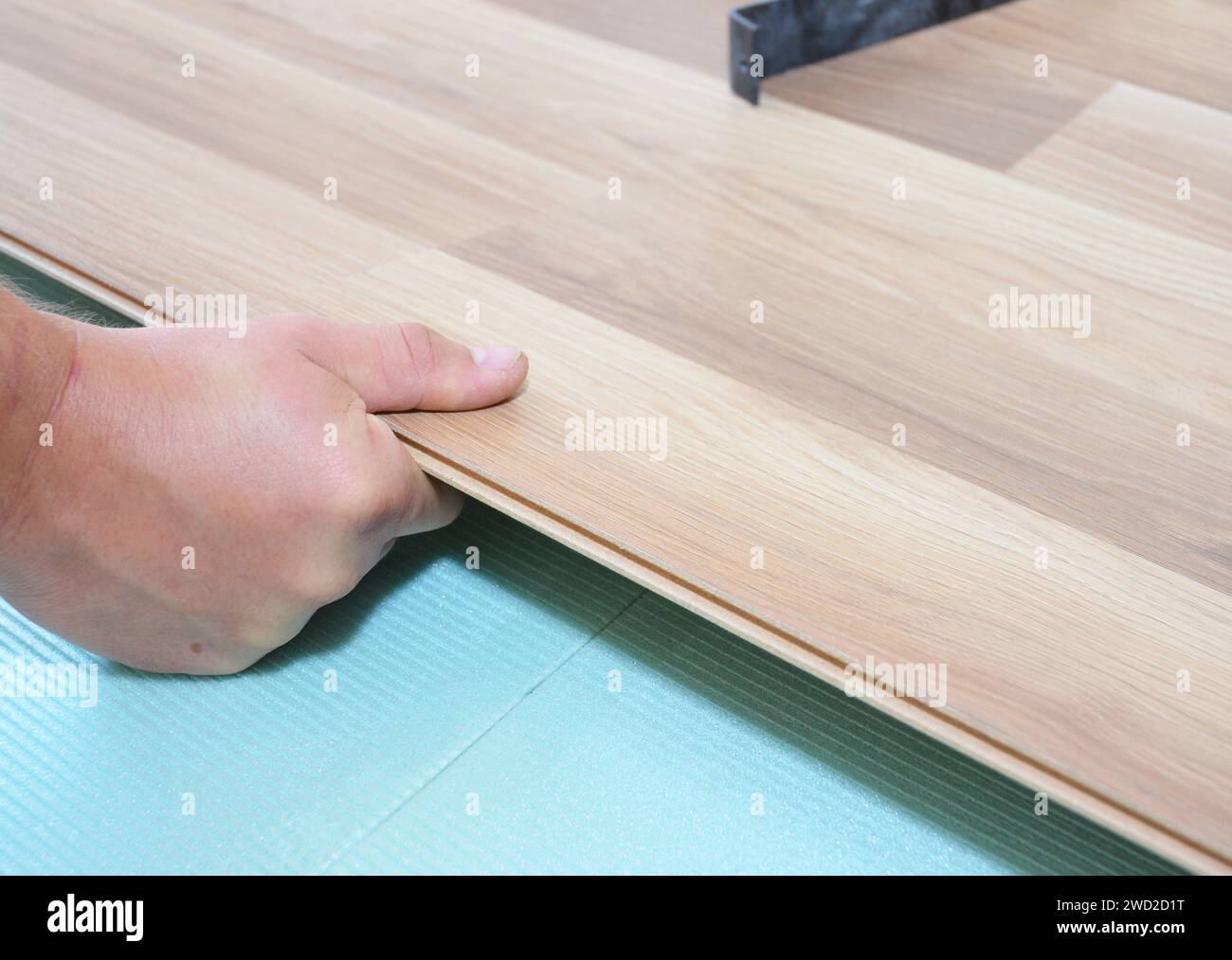 Appaltatore che installa pavimenti in legno laminato con pannelli isolanti e insonorizzanti. Foto Stock