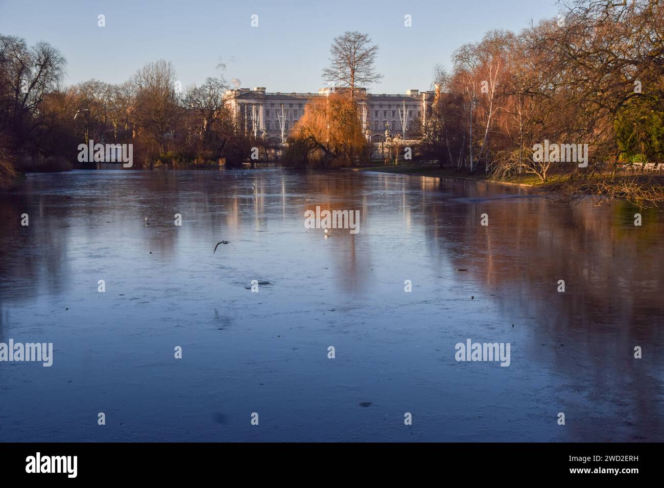 Londra, Regno Unito. 18 gennaio 2024. Lago ghiacciato a St James's Park questa mattina presto, con vista su Buckingham Palace, mentre le temperature gelide continuano per tutto il Regno Unito. Credito: Vuk Valcic/Alamy Live News Foto Stock