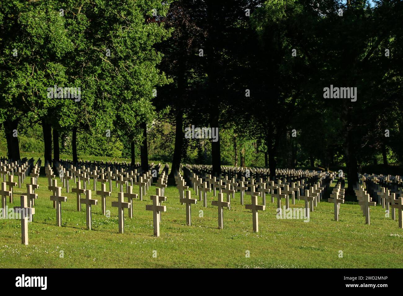 Cimitero militare, prima e seconda guerra mondiale, Montauville, dipartimento di Meurthe-et-Moselle, regione del Grand Est, Francia Foto Stock