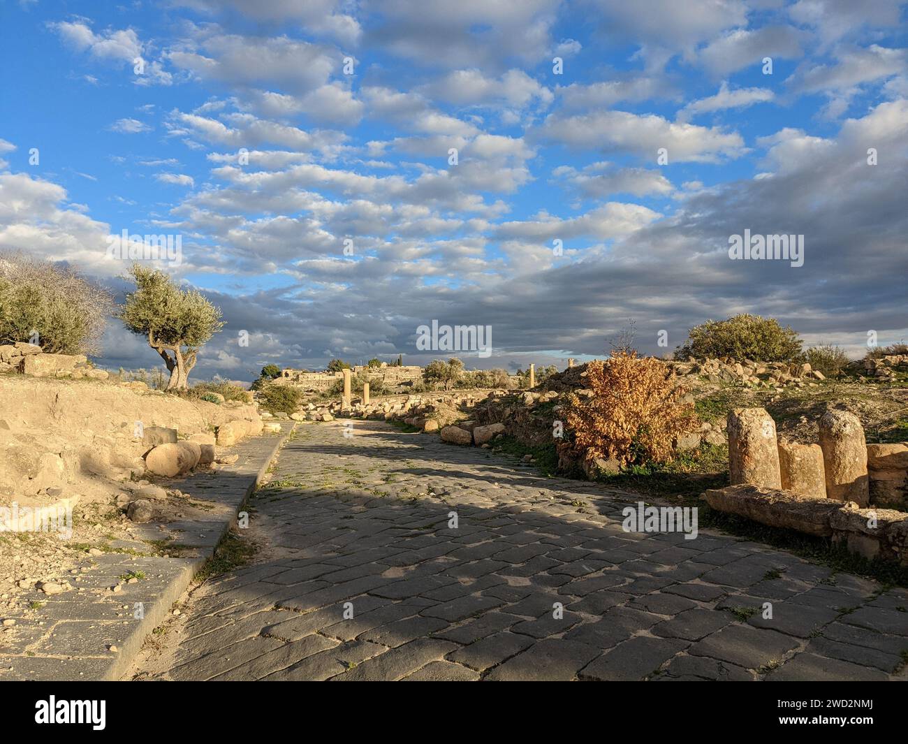 Viaggiando in Giordania. Lato culturale e naturale di Umm Qais e le rovine dell'antica Gadara. Antico Romano city.in, l'estremo nord-ovest del paese Foto Stock