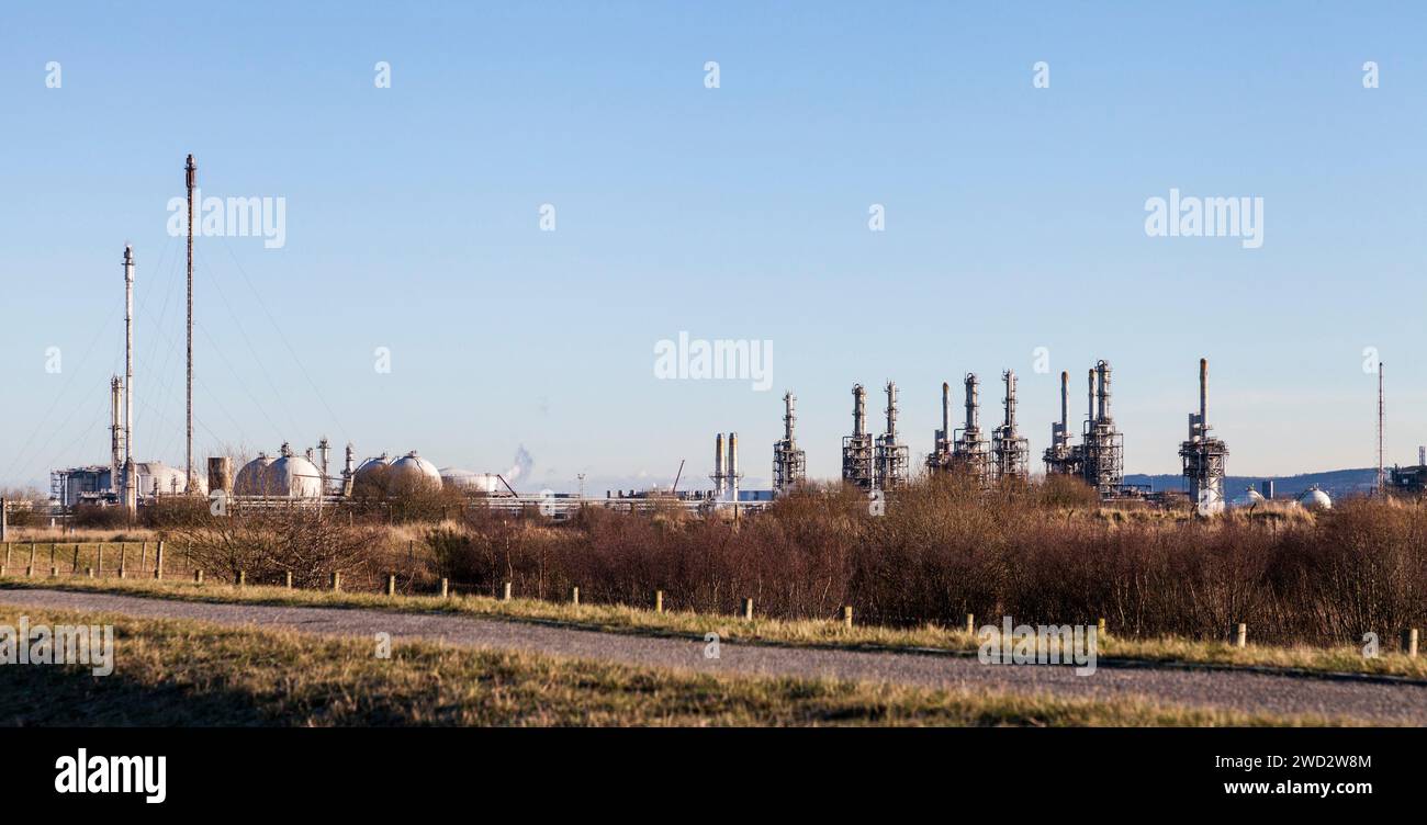 Paradiso della fauna selvatica in un paesaggio industriale a Greatham, Seal Sands, Hartlepool, Inghilterra, Regno Unito Foto Stock