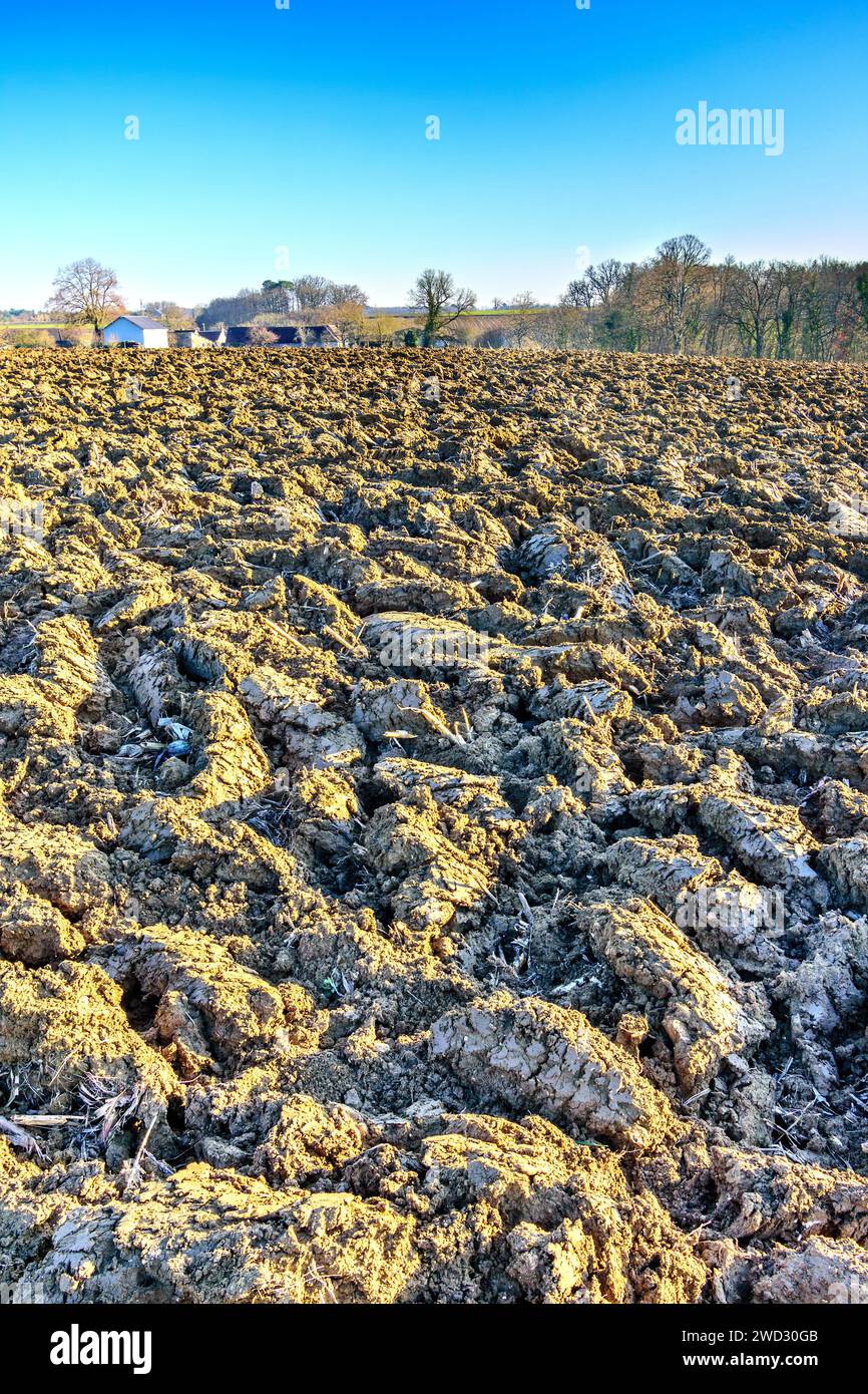 Campo arato di recente che mostra un terreno ricco, la Francia centrale. Foto Stock