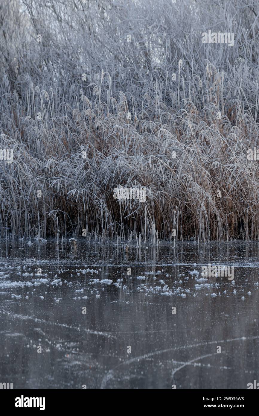 paesaggio invernale delle meraviglie Foto Stock