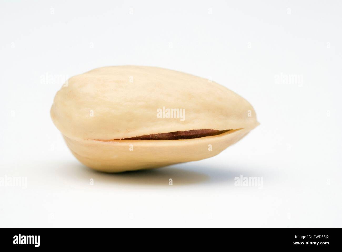 Pistacchio su sfondo bianco Foto Stock