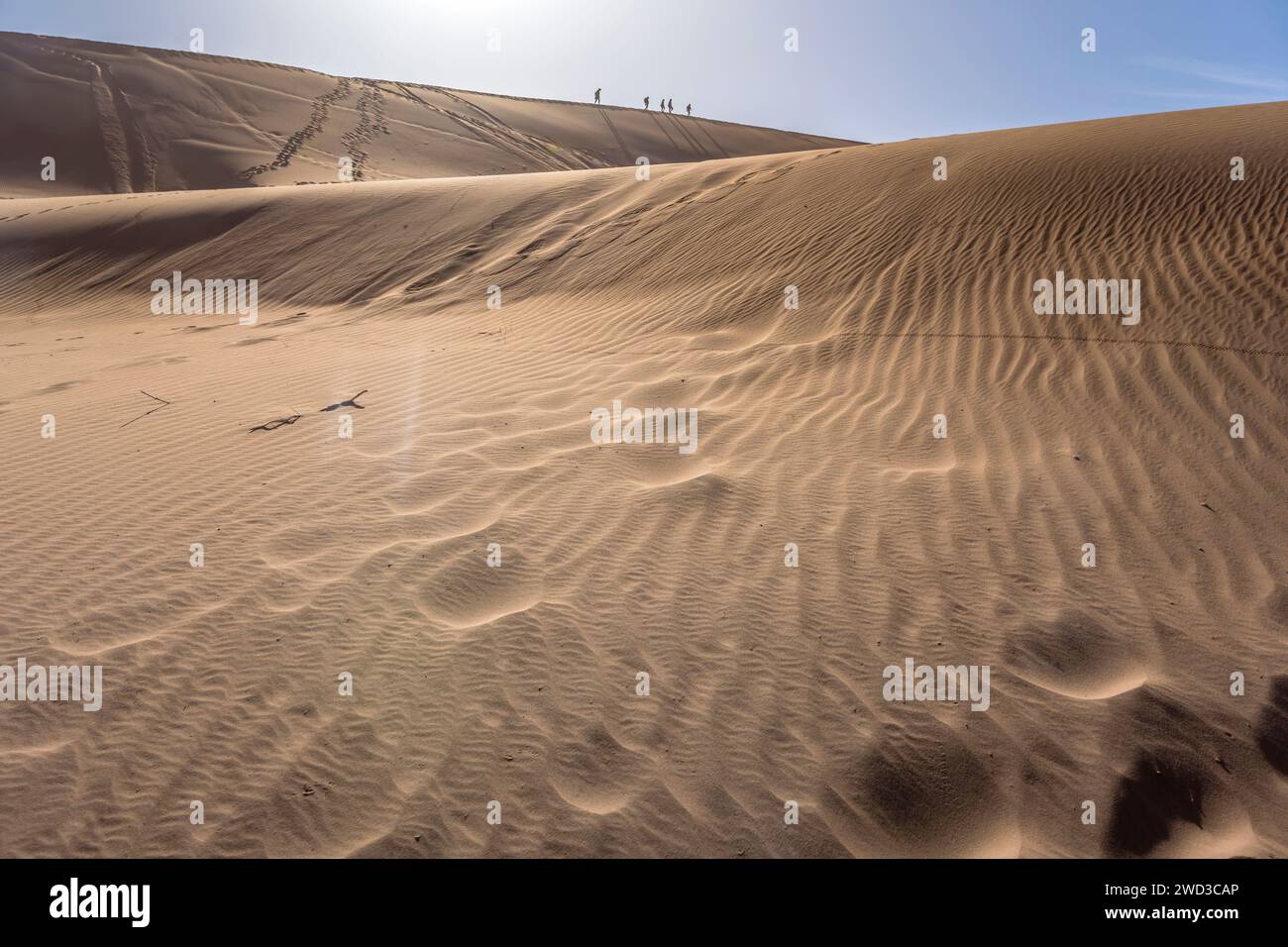 Dettaglio dei binari sulla sabbia del pendio delle dune rosse con gli alpinisti sul bordo delle dune sullo sfondo, fotografati con una luce brillante in tarda primavera nel deserto di Naukluft a Deadlvei, Foto Stock