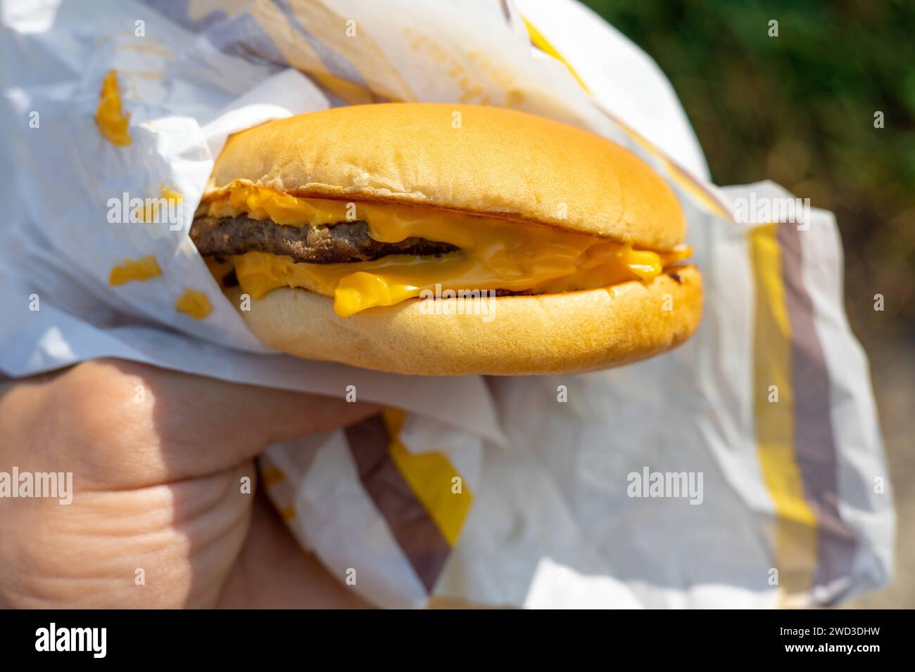 Il concetto di fast food e piatti da asporto. Grande hamburger succoso con formaggio in mano Copyright: XDmytroxNikolaienkox Foto Stock