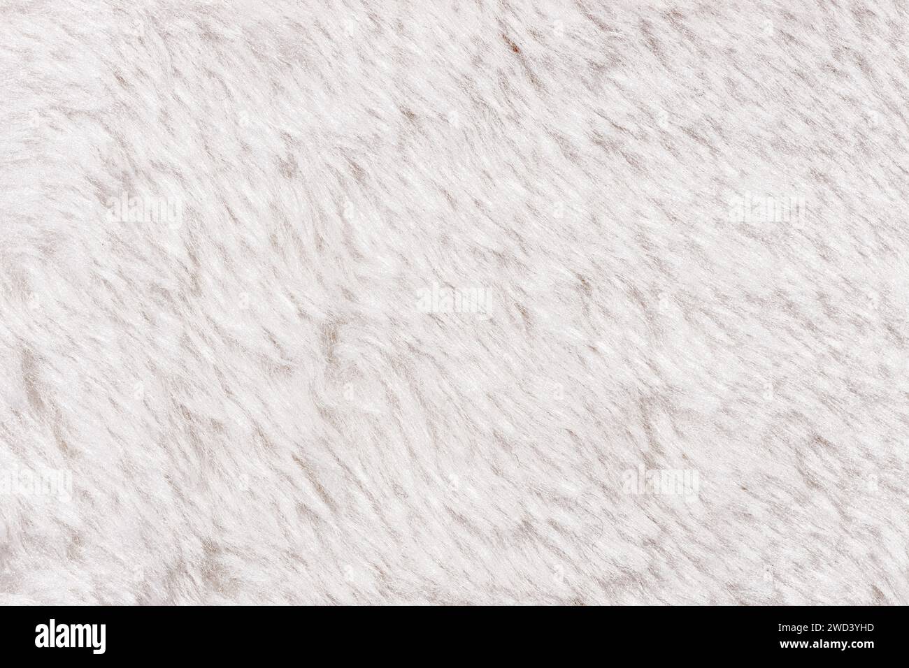 Texture di sfondo in tessuto di pelliccia sintetica bianca. Full frame Foto Stock