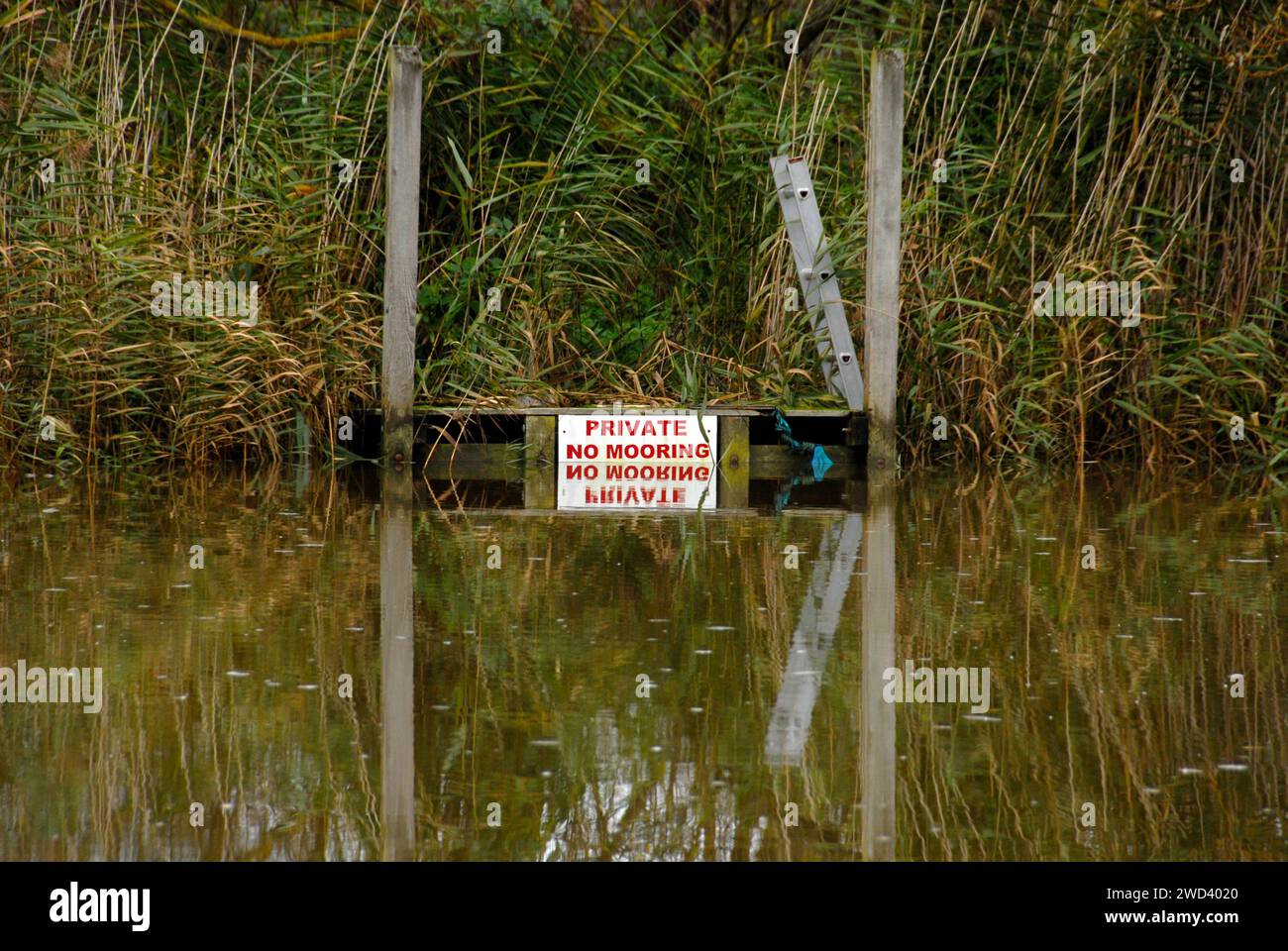 Alto livello del fiume Waveney a Beccles, Suffolk, Inghilterra dopo forti piogge, quasi coprendo il cartello "Private No Mooring" Foto Stock