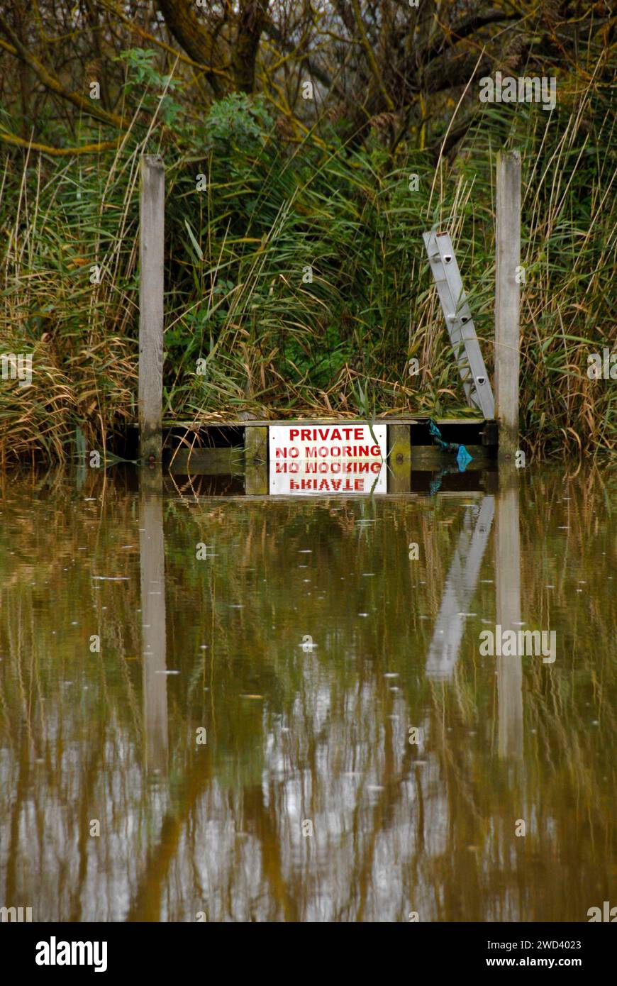 Alto livello del fiume Waveney a Beccles, Suffolk, Inghilterra dopo forti piogge, quasi coprendo il cartello "Private No Mooring" Foto Stock