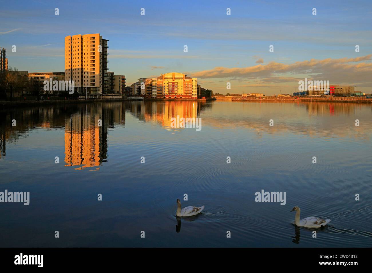 La prima luce della sera con cigni e riflessi a Roath Basin, Cardiff Bay, scattata nel gennaio 2024 Foto Stock