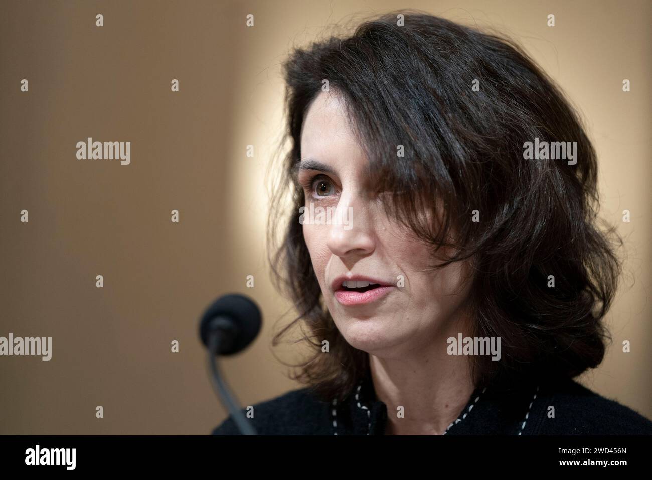 Washington, Stati Uniti. 18 gennaio 2024. Il direttore della legge e delle politiche pubbliche di Princeton Deborah Pearlstein testimonia durante un'audizione della House Committee on Homeland Security sul confine meridionale presso il Campidoglio degli Stati Uniti a Washington DC giovedì 18 gennaio 2024. Foto di Bonnie Cash/UPI credito: UPI/Alamy Live News Foto Stock