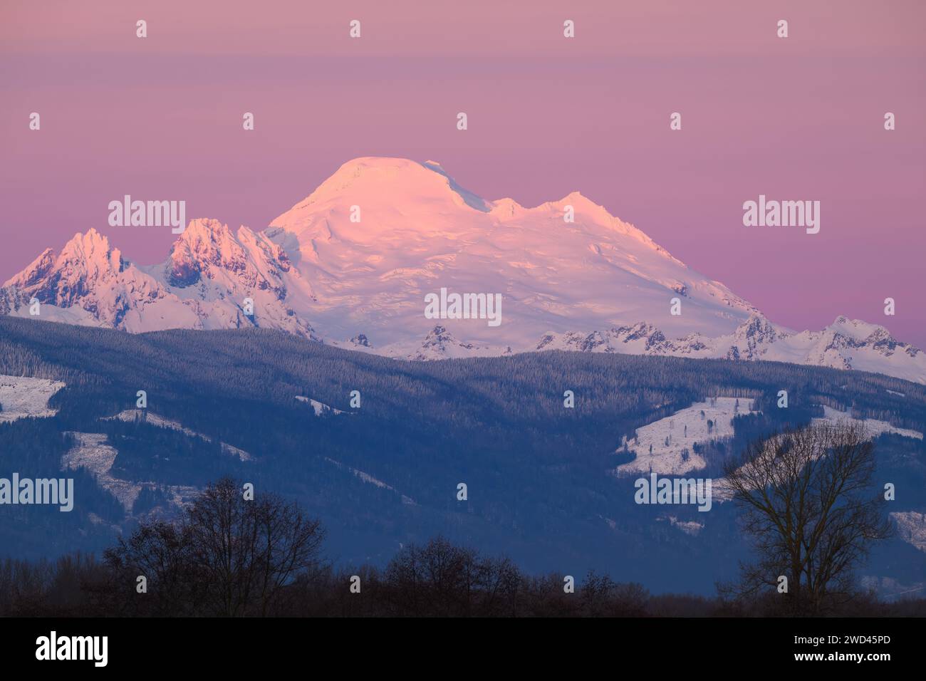 La luce della sera crea una tonalità purea nel cielo sopra il vulcanico Monte Baker Foto Stock