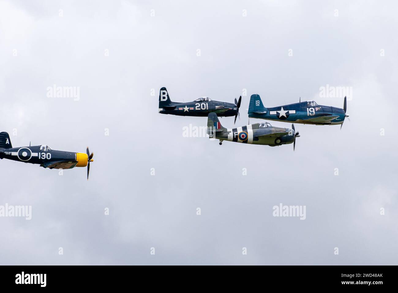 Gli aerei da caccia americani della seconda guerra mondiale volano in stretta formazione nel cielo. F4U corsair, F8F Wildcat, F4F tra gli altri. Foto Stock