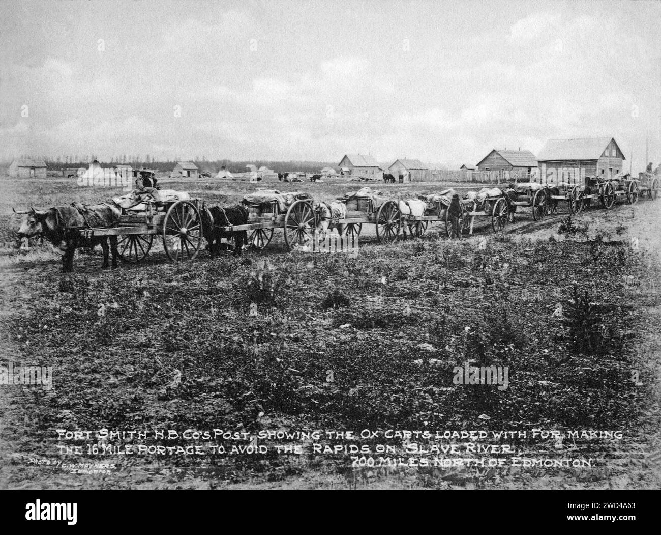 Una fotografia del 1901 di carri trainati da buoi, che prendono pellicce dal posto della compagnia della Baia di Hudson a Fort Smith sul fiume Slave nei territori del Nord-Ovest, scattata da C W Mathers in una spedizione nell'estremo nord del Canada. Mathers didascalò questa fotografia: Fort Smith H.B.Co. Posta, mostrando i carri buoi carichi di pelliccia, facendo un percorso di circa 16 km per evitare le rapide sul fiume Slave, 700 km a nord di Edmonton. Foto Stock