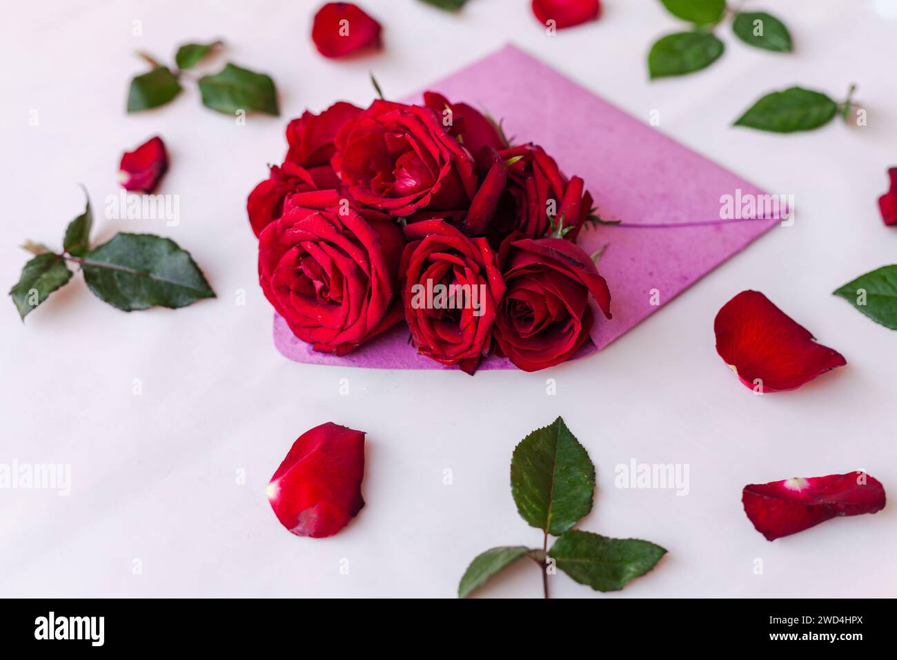 Un vivace assortimento di rose rosse circonda un gruppo di fiori delicati Foto Stock