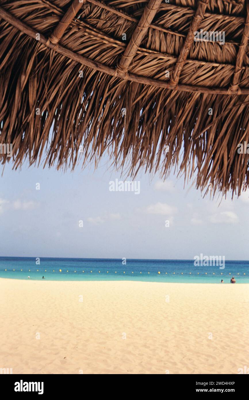 Palm Beach ad Aruba, vista da sotto un ombrellone con tetto in paglia nel sole quasi costante CA. Metà degli anni '1990 Per favore, accreditate il fotografo Joan Iaconetti. Foto Stock