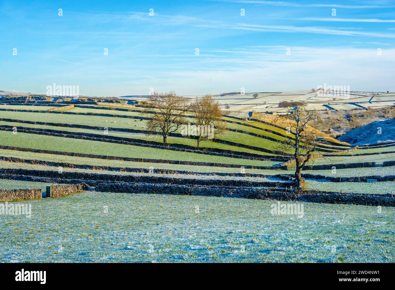 Campi coperti di ghiaccio vicino a Litton nel Peak District National Park, Foto Stock
