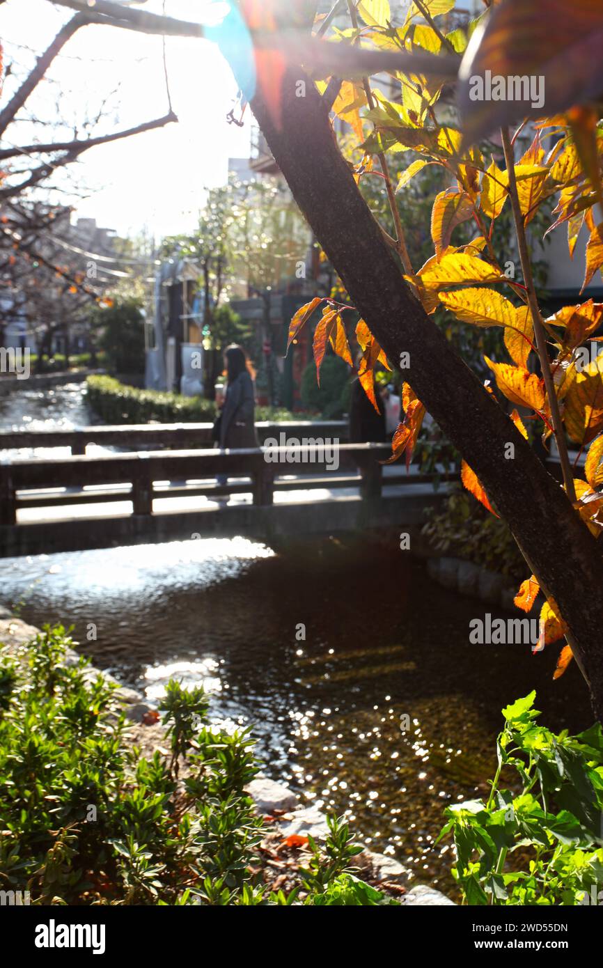 Il fiume Katase a Gion, Kyoto, Giappone. Foto Stock