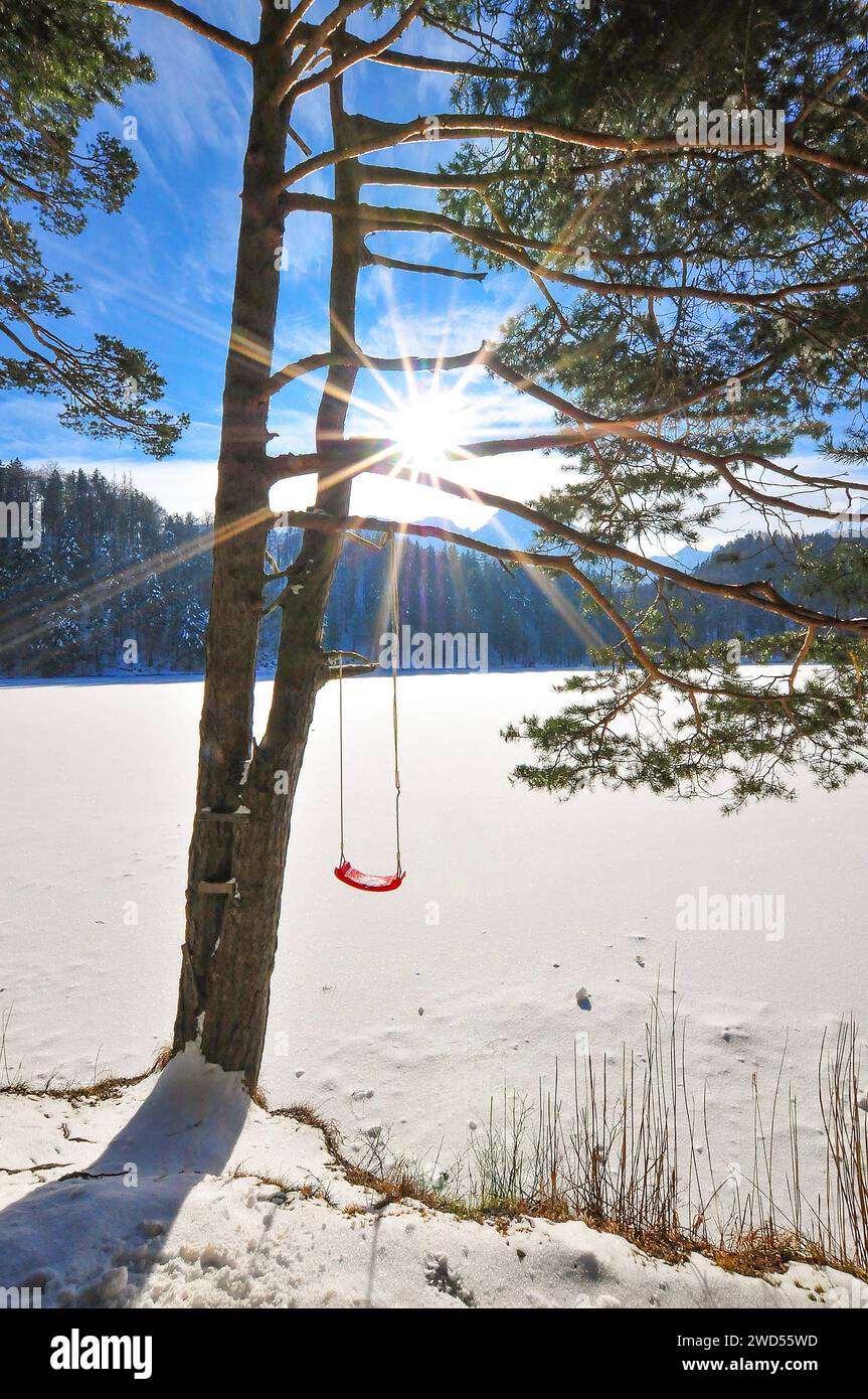 Dondola per bambini su un pino, su un lago ghiacciato nelle Alpi, Baviera, Germania, Europa Foto Stock