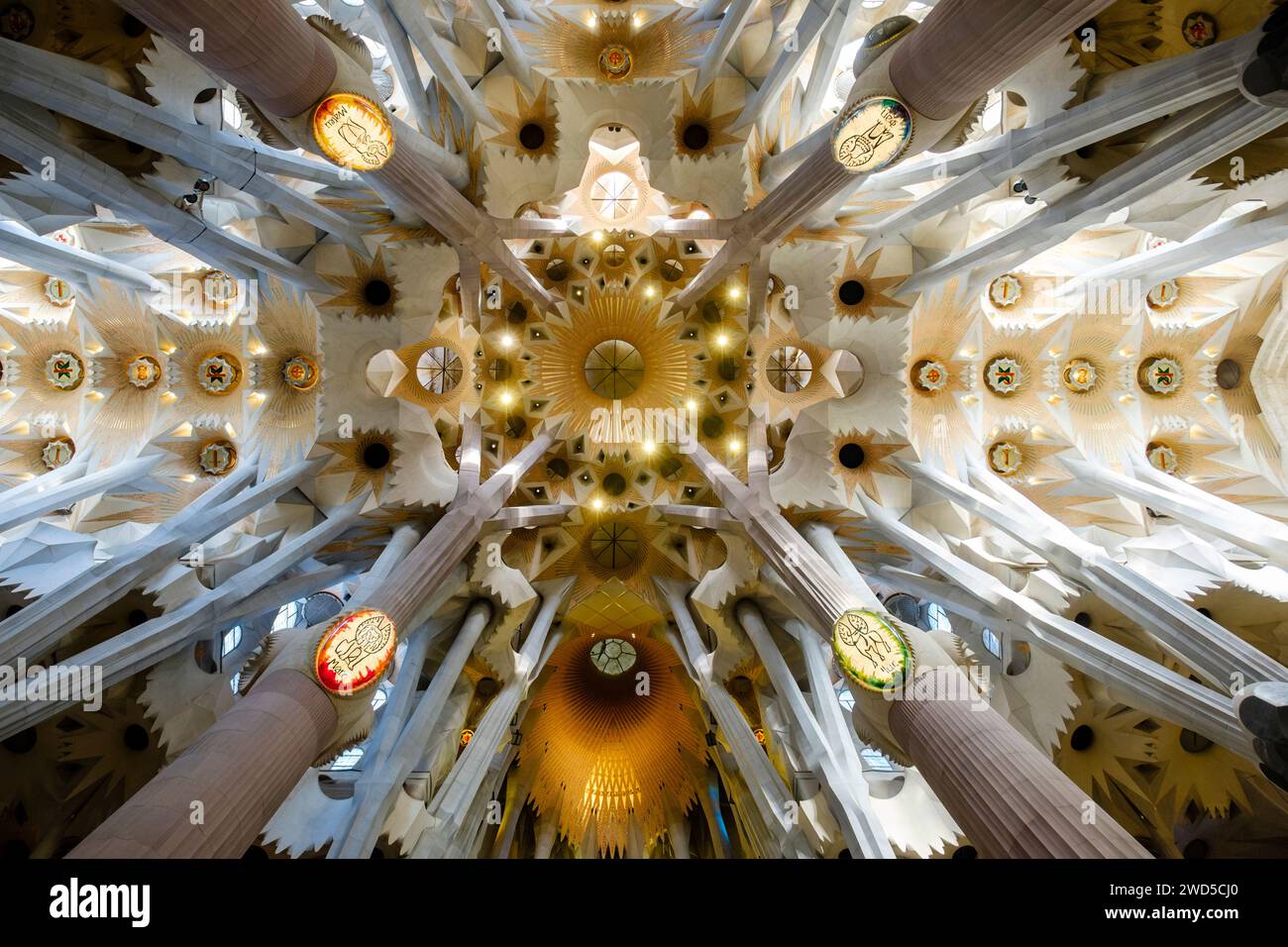 All'interno del Basílica Tempio Expiatori de la Sagrada Família, dettagli interni del soffitto a navata, di Antoni Gaudí, Barcellona, Spagna Foto Stock