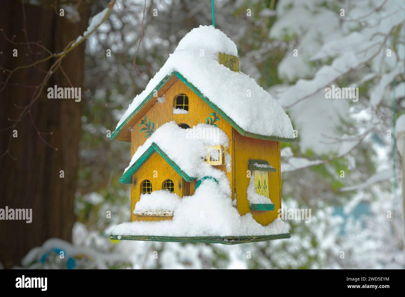 Neve sulla Birdhouse ornata, inverno Foto Stock