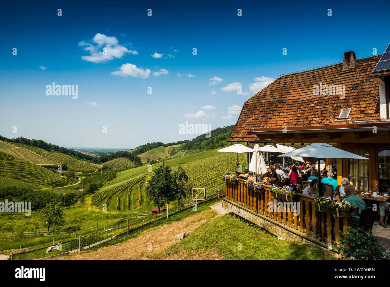 Vinifices and Mountain inn, Hummelswaelder Hof, Durbach, Ortenau, Foresta Nera, Baden-Wuerttemberg, Germania Foto Stock