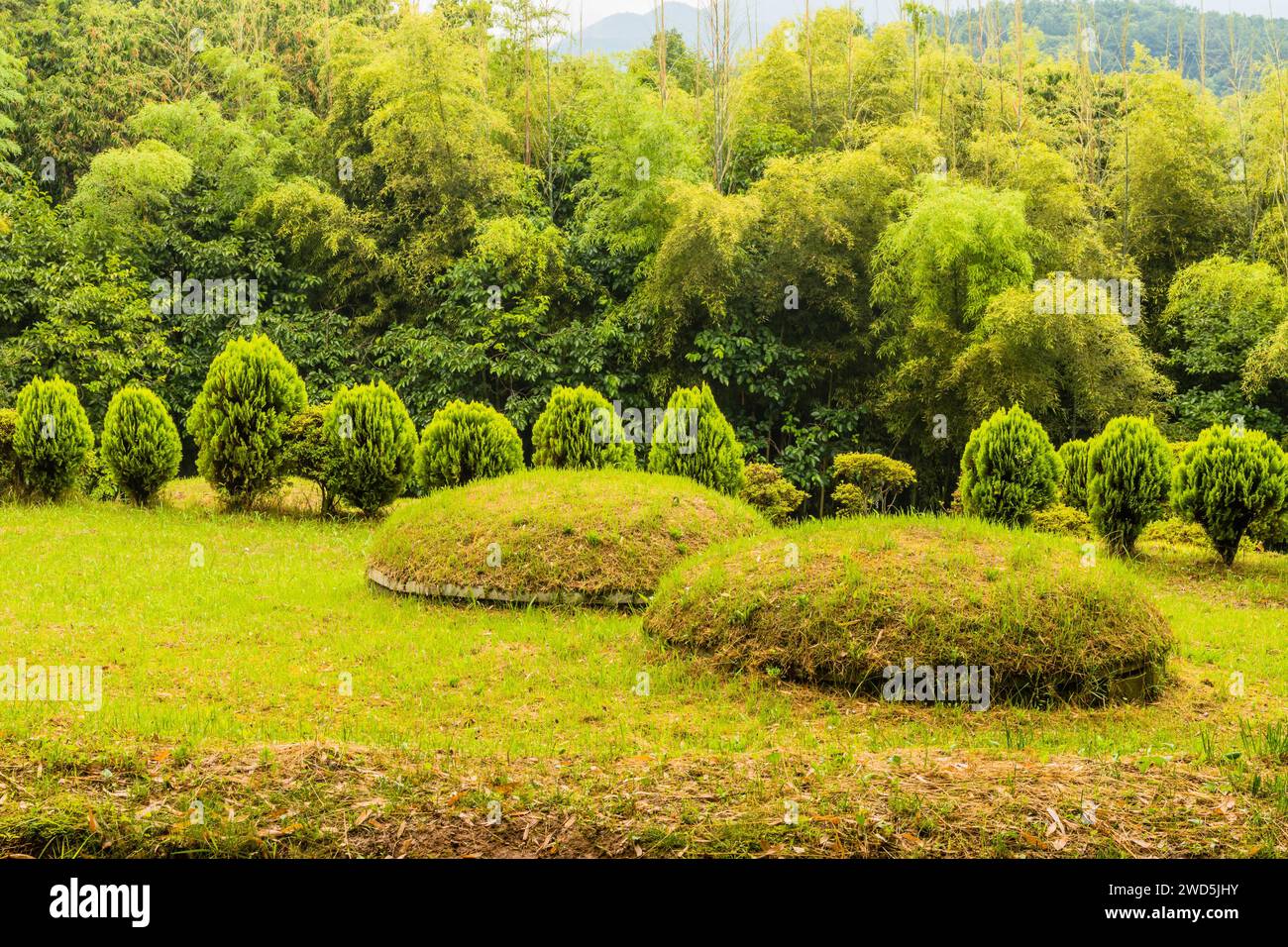 Due tumuli di sepoltura circolari non segnati con lussureggianti arbusti sempreverdi e alberi sullo sfondo, Corea del Sud, Corea del Sud Foto Stock