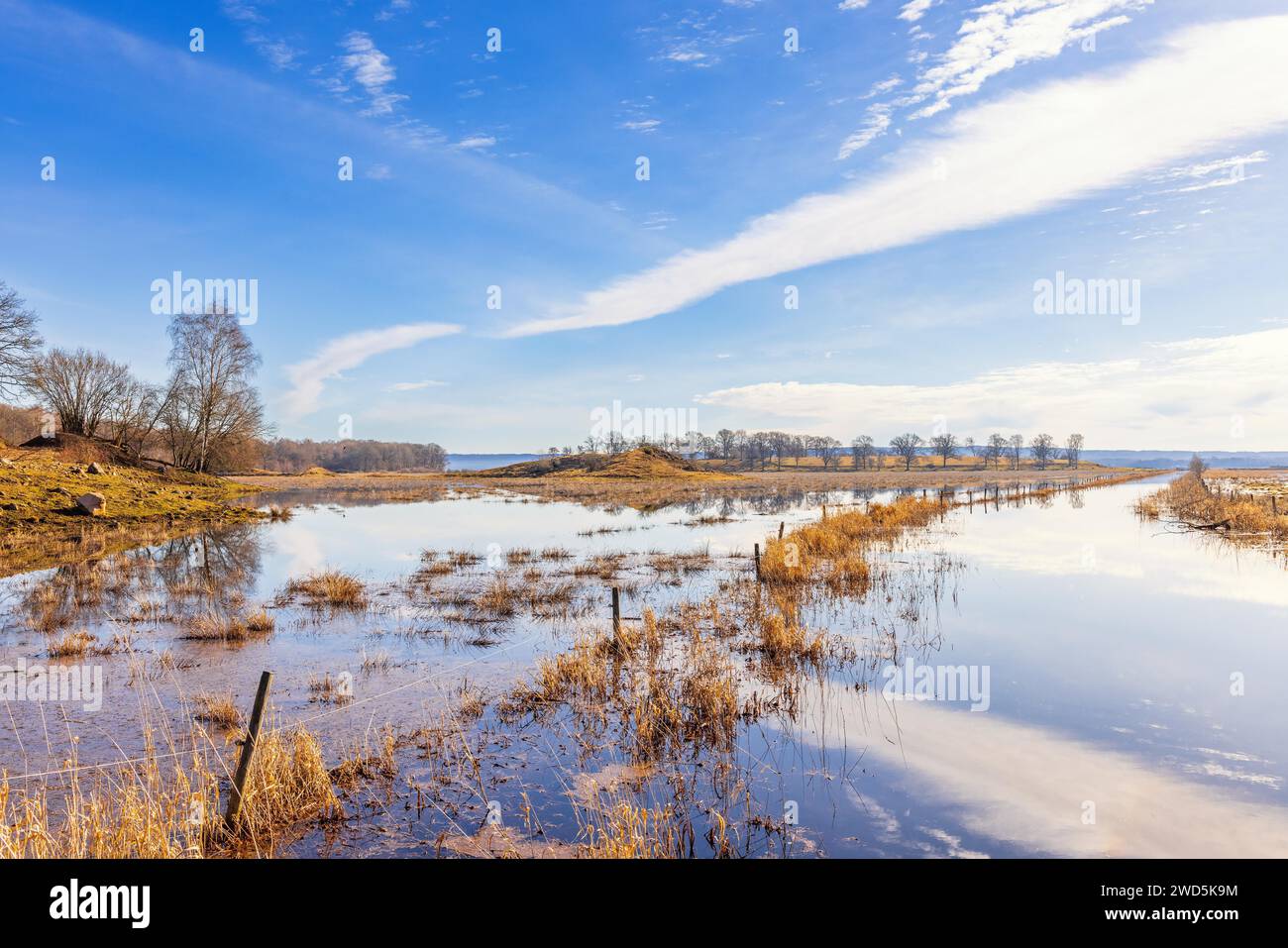 Vista di un prato allagato da un canale d'acqua in un paesaggio rurale in primavera, Hornborgasjoen, svezia Foto Stock