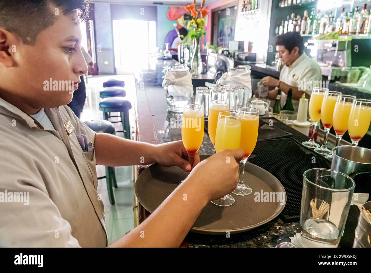 Merida Mexico, centro storico storico, pub interno al bar interno, barman che prepara bevande mimosa, succo d'arancia, champagne, uomo uomo uomo maschio Foto Stock
