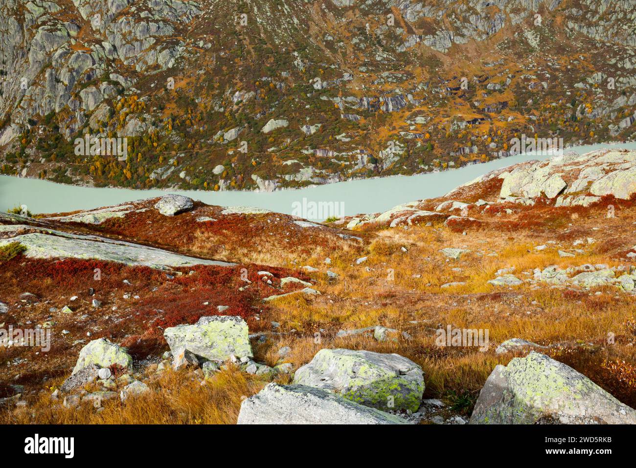 Alpi svizzere in autunno, Grimselsee, Berna, Svizzera Foto Stock