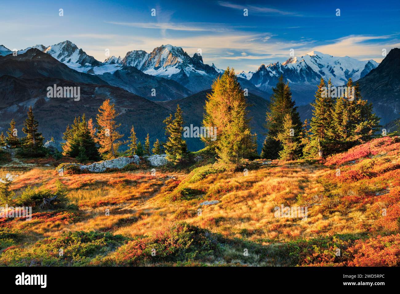 Vista dell'Aiguille verte e del Monte bianco alla prima luce del mattino in Savoia, Francia Foto Stock