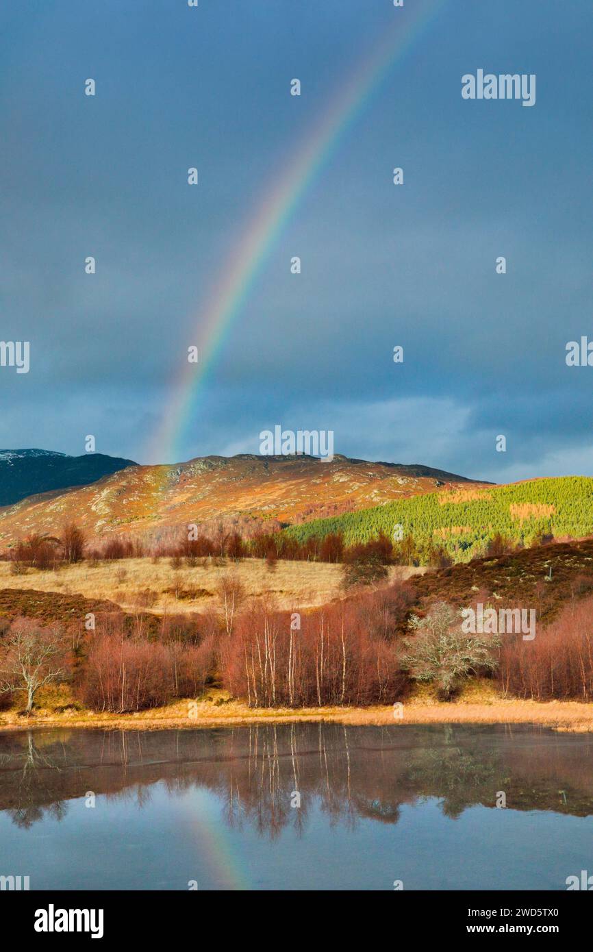 Suggestivo cielo nuvoloso con arcobaleno sulle Highlands montuose, parzialmente boscose nella parte occidentale della Scozia, con alberi di betulla ramificati in rosso ai margini di un Foto Stock