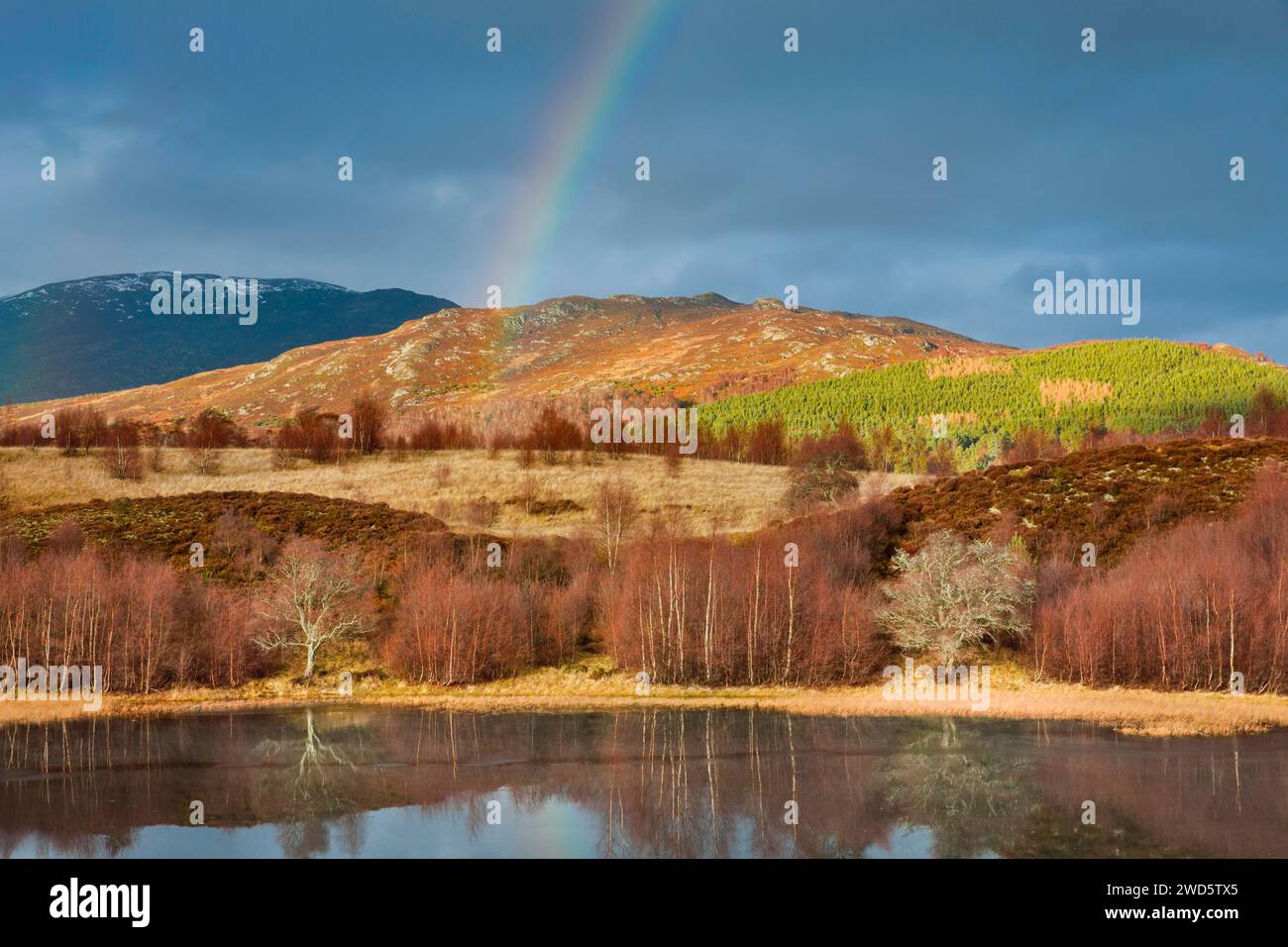Suggestivo cielo nuvoloso con arcobaleno sulle Highlands montuose, parzialmente boscose nella parte occidentale della Scozia, con alberi di betulla ramificati in rosso ai margini di un Foto Stock