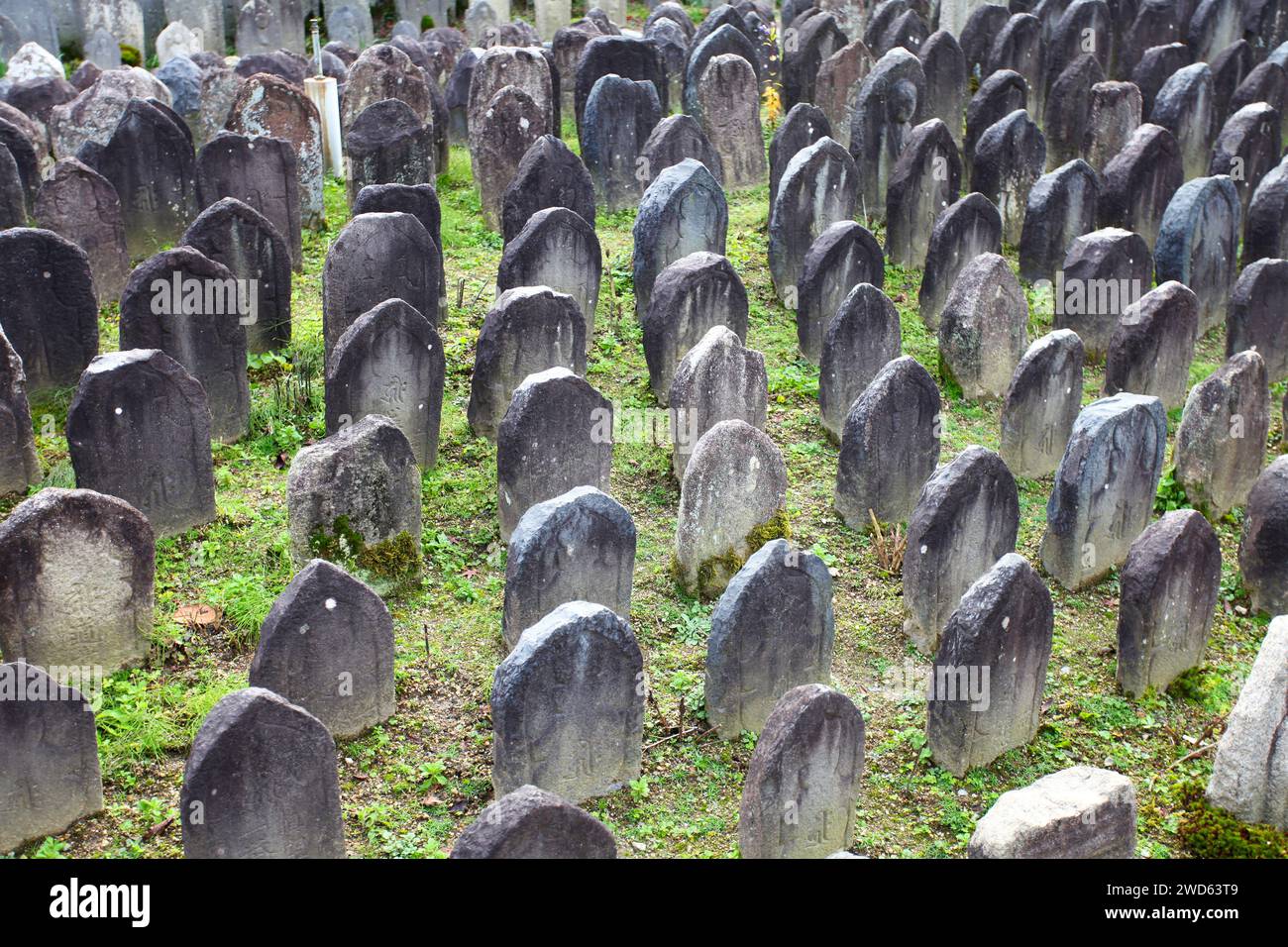 Tempio Gango-ji, un antico tempio buddista con numerose lanterne in pietra e lapidi a Nara, in Giappone. Foto Stock