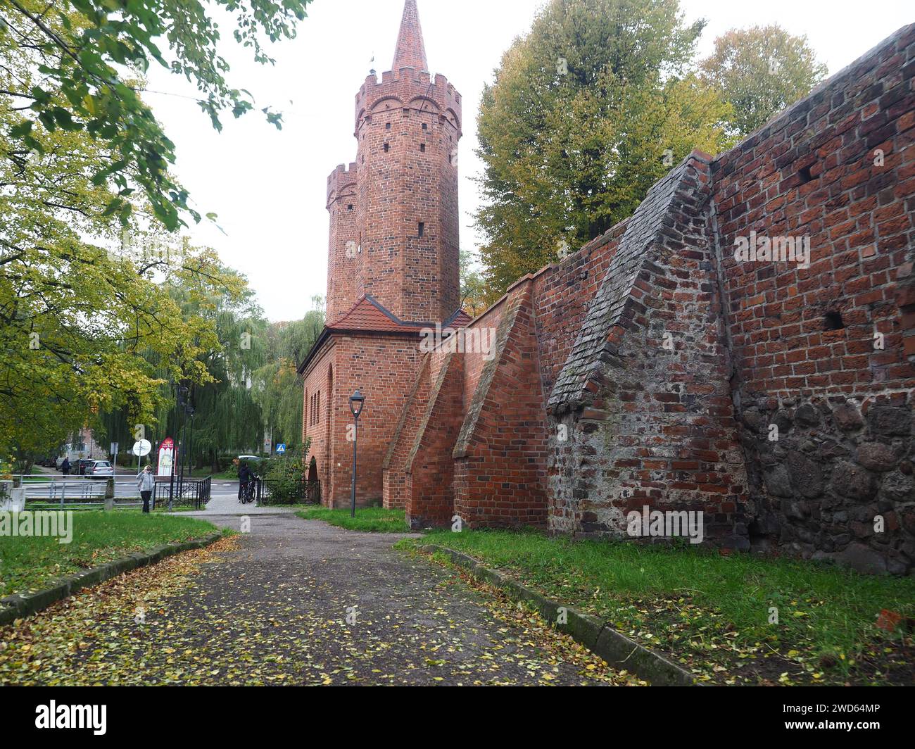 OLYMPUS FOTOCAMERA DIGITALE Foto Stock