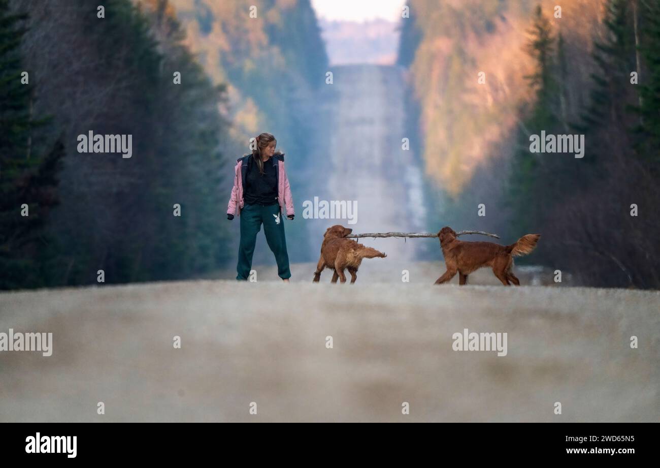 Camminando nella parte settentrionale del Saskatchewan Girl in un'escursione con i cani Foto Stock